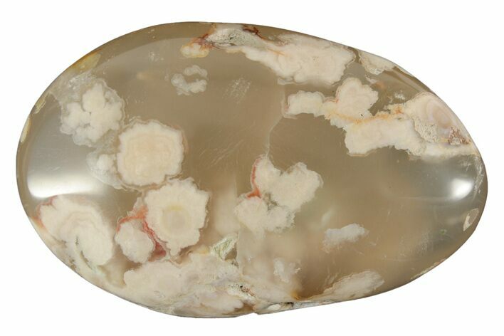 Polished Flower Agate Palm Stone - Madagascar #226862
